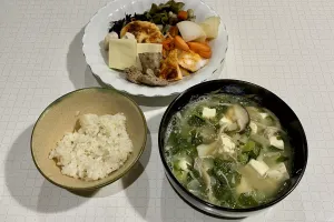 今日の晩ごはん 〜2025年11月20日〜