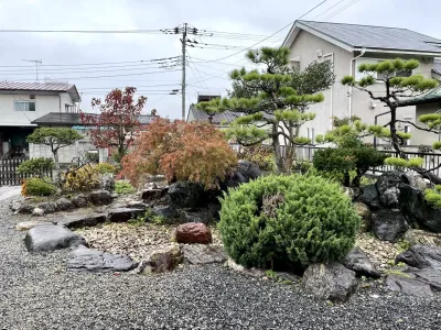 今日の風景/雨に濡れた庭 〜2025年11月9日〜