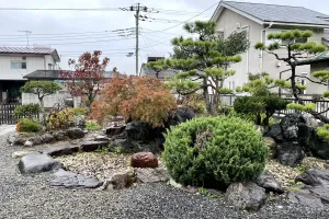今日の風景/雨に濡れた庭 〜2025年11月9日〜