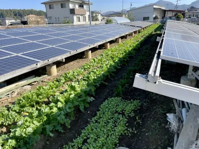 今日の風景/ハイブリッド太陽光発電 〜2025年11月17日〜