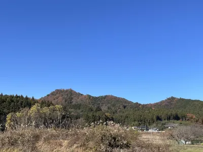 今日の風景/秋の里山 〜2025年11月29日〜