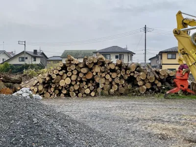 今日の風景/丸太の山 〜2025年12月3日〜