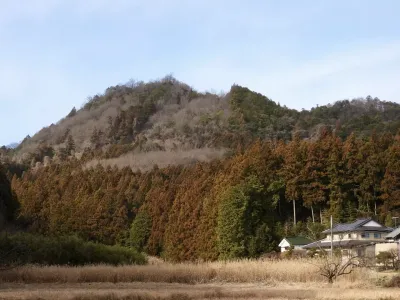 今日の風景/スギ花粉スタンバイ 〜2026年1月9日〜