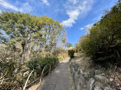 今日の風景/五島美術館の庭園 〜2026年1月30日〜