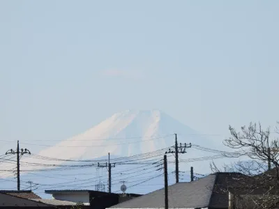 今日の風景/真っ白な富士山 〜2026年1月31日〜