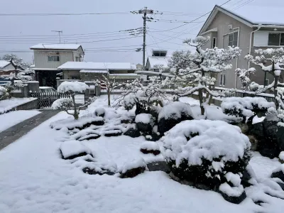 今日の風景/雪の庭 〜2026年2月8日〜