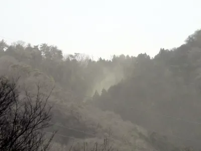 今日の風景/スギ花粉がやってきた！ 〜2026年2月28日〜