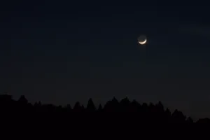 今日の風景/下弦の月 〜2026年5月18日〜