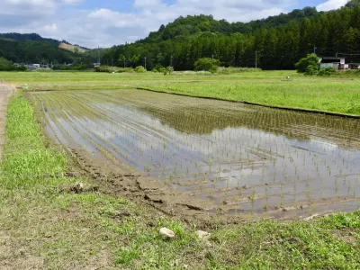 今日の風景/日本の原風景 〜2026年5月29日〜