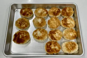 今日のてわすら/鶏ももひき肉のおからハンバーグ 〜2025年12月12日〜