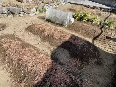 今日のてわすら/畑の水やり 〜2026年2月4日〜