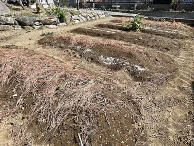 今日のてわすら/畑の水やり 〜2026年3月21日〜