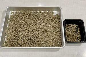 今日のてわすら/コーヒー豆の焙煎 〜2026年7月8日〜