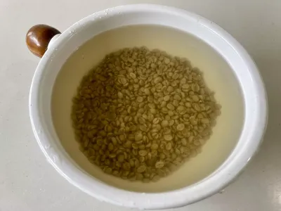 今日のてわすら/コーヒー豆の洗浄 〜2026年8月4日〜