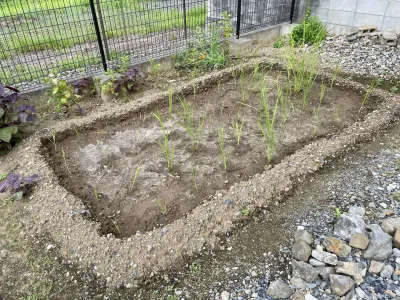 今日のてわすら/田んぼの草取り 〜2026年8月5日〜